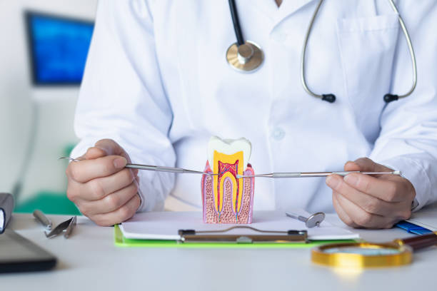 Best Emergency Tooth Extraction in Lake Wilderness, VA